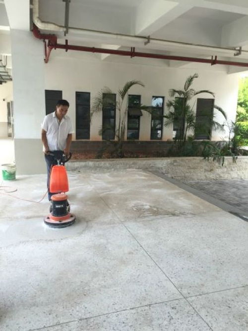 专业清洁与除四害服务 打造健康洁净的生活与工作环境